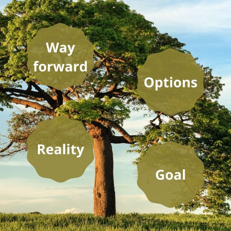 GROW model for Decision Management