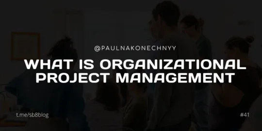 What is Organizational Project Management?