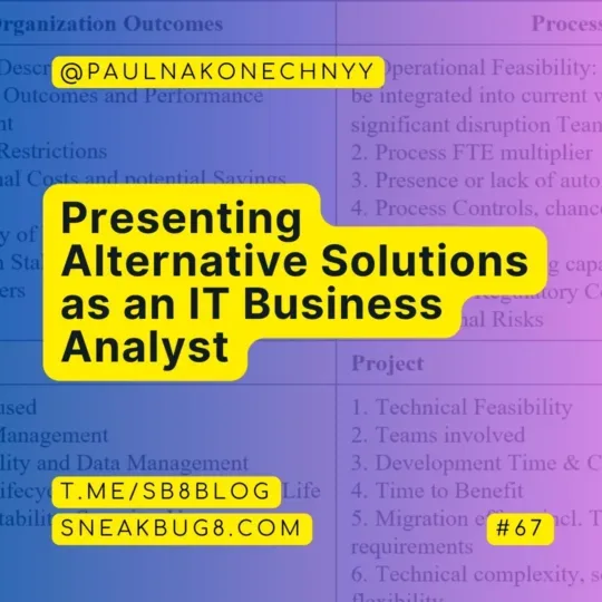 Presenting Alternative Solutions to Management as an IT Business Analyst